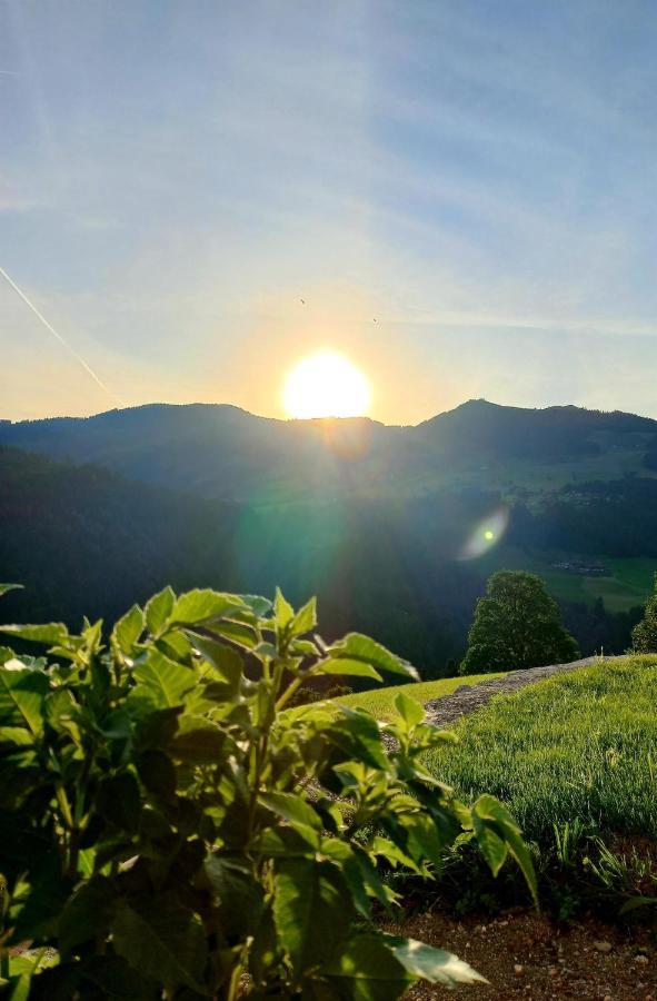 Bergappartement Kink Hopfgarten im Brixental Εξωτερικό φωτογραφία