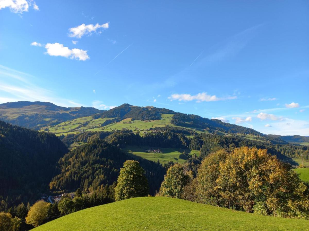 Bergappartement Kink Hopfgarten im Brixental Εξωτερικό φωτογραφία