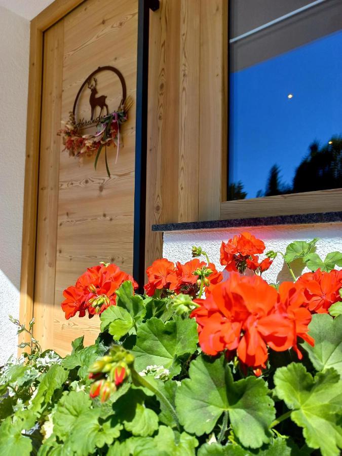 Bergappartement Kink Hopfgarten im Brixental Εξωτερικό φωτογραφία